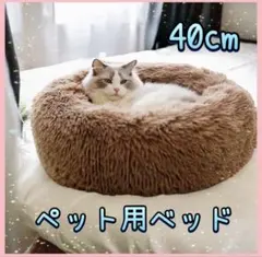 Item thumbnail for item 729d8979-3535-4952-882a-bd9bfed6d77b