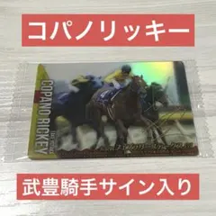 武豊直筆サイン入りパネル　キズナ　日本ダービー 武豊直筆サイン入りパネル キズナ 日本ダービー 武豊騎手が日本