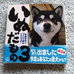 Item thumbnail for item f21d90ad-90d4-4d7f-a52c-d321c793d71e