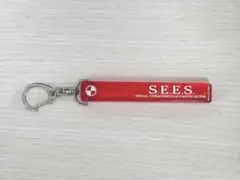 ペルソナ3 リロード アクリルホテルキーホルダー S.E.E.S P3R