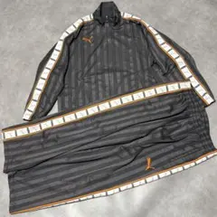 ✨美品✨希少✨PUMA ジャージ上下セット ロゴテープ M