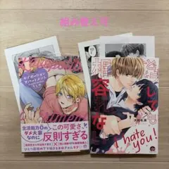 222(BLコミック)2冊セット - メルカリ