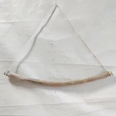 Item thumbnail for item 1c894ab7-7e9e-40c2-b3bb-9a6479f8b13d