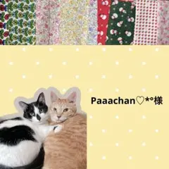 Paaachan♡*°様 リクエスト 4点 まとめ商品
