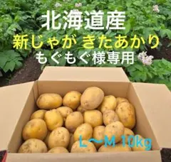 もぐもぐ様専用 北海道産 新じゃが きたあかり（M〜Lサイズ）10kg