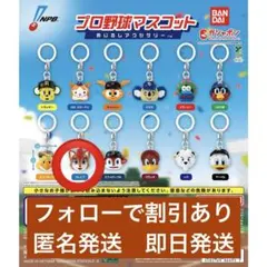 プロ野球マスコット めじるしアクセサリー　フレップ