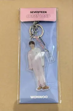 2026年最新】caratland ウォヌの人気アイテム - メルカリ