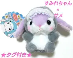 2025年最新】ぽてうさろっぴー サメの人気アイテム - メルカリ