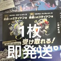 ポケモン　色違いコライドン　ミライドン　1枚