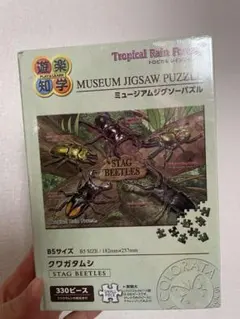 Item thumbnail for item edf7b6c5-b99d-4ac8-b6fb-d8b0516d1444