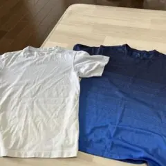 Item thumbnail for item f77fa93b-ebcf-4f4a-a8b4-e45a310c0203