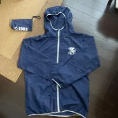 Item thumbnail for item 28a0aefb-4747-47ae-a978-8886796789f1