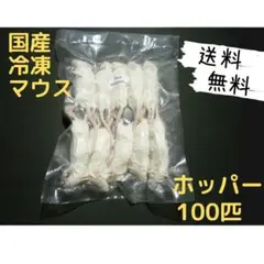 送料無料 冷凍マウスホッパー100匹 - メルカリ
