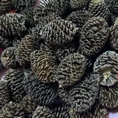 Item thumbnail for item 71b38afd-16b1-4f2e-bbf7-34d8d081ce98