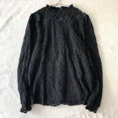 【ノアールレーベル】ブラウス フラワーレース 綿混 フリルネック 透け感有 1