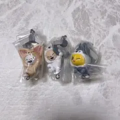 SKZOO ジニレット ポガリ フォクシニー