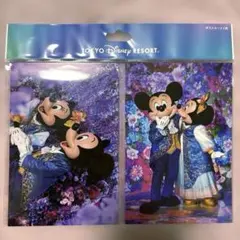 ディズニーイマジニングザマジックポストカード2枚