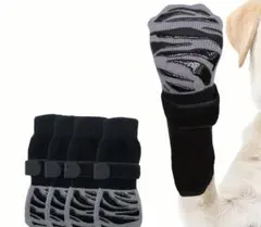 Item thumbnail for item 8178f6db-5e80-4c57-9e05-145de4f5feb4