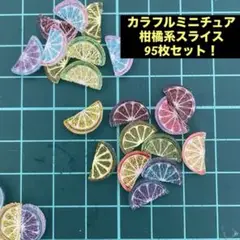 カラフルミニチュアフルーツスライス95個セット！