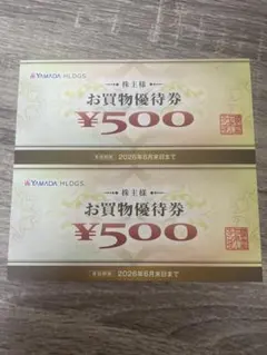 YAMADA HLDGS. お買物優待券 ¥500 2枚セット