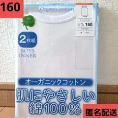 Item thumbnail for item 13dbfe6a-3766-417e-bd02-649e449252d0