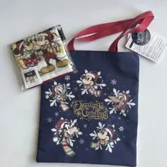 ディズニー Dazzling Christmas バッグとミニタオルのセット