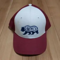 パタゴニア patagonia キャップ スナップバックのサムネイル