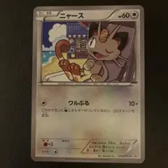 ニャース PROMO XY プロモ 250/XY-P
