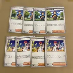 タケシのスカウト　アカマツ　まとめ売り