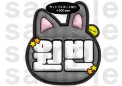 ウォンビン RIIZE うちわ文字 ネームボード ぷっくりのサムネイル