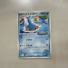 ポケモンカード ポケパーク　ミズゴロウ　アチャモ　プロモ ポケモンカード ポケパーク ミズゴロウ アチャモ プロモ
