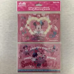 【本文必読】ディズニー　パルパルーザ　ポストカード２枚　ミニーのファンダーランド