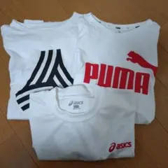 アディダス　プーマ　アシックス　150cmセット