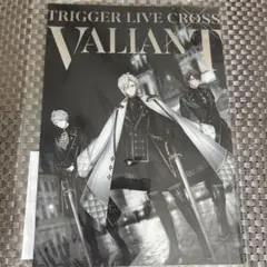 VALIANT パンフレット