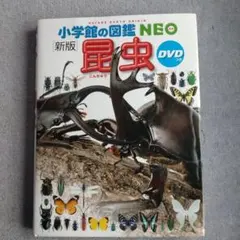 Item thumbnail for item 44e2a0df-a984-46bd-be3d-f7232b9fe45c