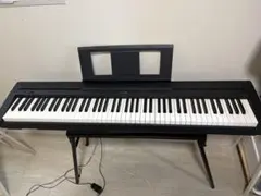 2025年最新】ヤマハ p 45bの人気アイテム - メルカリ