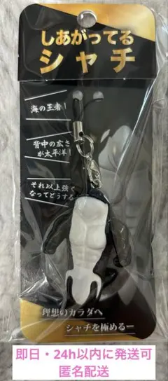 【新品未開封】　しあがってるシャチ　須磨シーワールド　岩本照　　即日発送可能