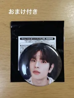 straykids スキズ スンミン SKZOO カフェ 缶バッジ