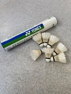 Item thumbnail for item 8438165e-5d9a-4601-9f56-b7385e3e5e31