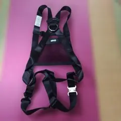 Item thumbnail for item 414e3429-c179-4149-a866-2464aaabe0f6