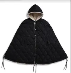 Item thumbnail for item 19a06457-be95-4c06-8c19-479994fb2656