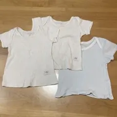 ファミリア シャツ 肌着 半袖 綿100 セット 80