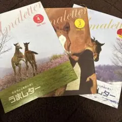 Item thumbnail for item 218ae35f-b5d4-42c4-9bbc-5d0198be566c