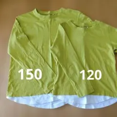 長袖カットソー 2枚セット 150cm 120cm