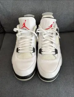 NIKE AIR JORDAN 4 ゴルフシューズ 29cm