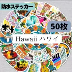 防水ステッカー　ハワイ　ハワイアン　アロハ　海　夏　サーフィン　ビーチ　50枚