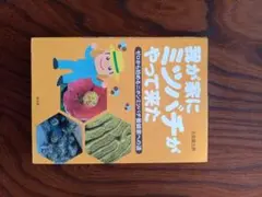 我が家にミツバチがやって来た