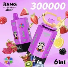 即日発送可BANG Leader 6in1 300000 puff ゼロニコチン - メルカリ