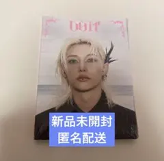 do it アコーディオン盤 新品未開封 straykids フィリックス