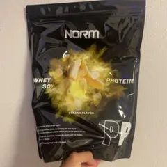 NORM PP プロテイン バナナフレーバー